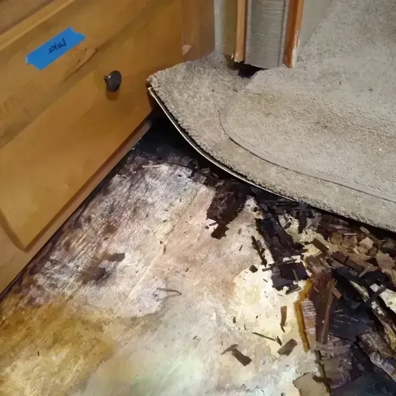 Wood Floor Water Damage in Springtown, TX